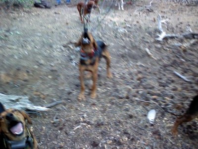 Captured 2009-8-24 00004.jpg