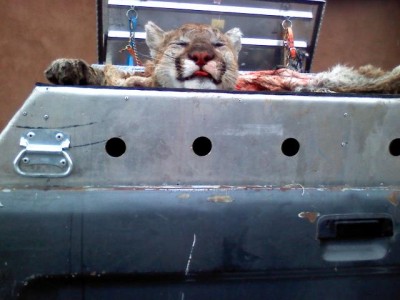 Captured 1980-1-6 00254.jpg