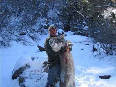 Dallas Daves Lion.jpg