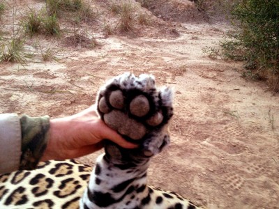 210 lb+ male...huge feet!!!!!