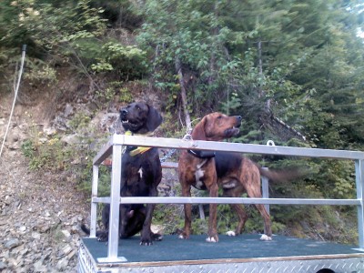 2012-07-28 06.00.11.jpg