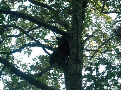 Las Vegas 075 edit.jpg