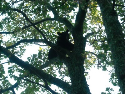 Las Vegas 079 edit.jpg