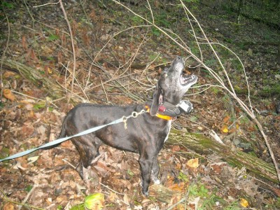 Las Vegas 081 edit.jpg