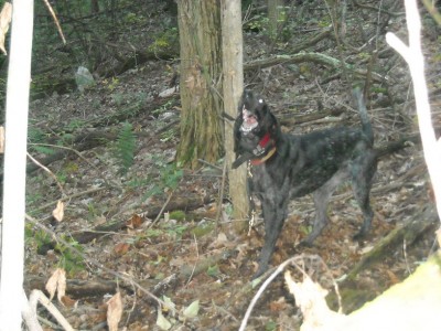 Las Vegas 083 edit.jpg