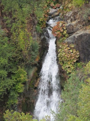 Cool waterfall, couldn't get a picture of the whole thing was in a hurry, I'll be back.