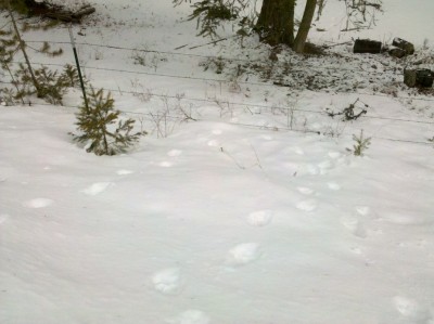 IMG_20120226_133247 (Copy).jpg