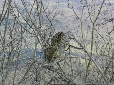 But soon settled down for a nap.