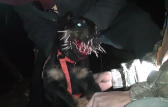 Joker hunting - Copy.png