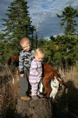 December 4 2012 320_resized.jpg