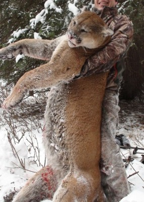 copy cat cropped.jpg