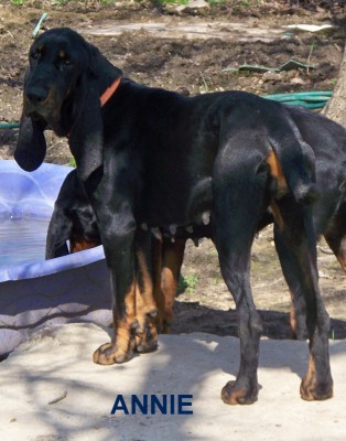 grandaughter of amos and maggie.jpg