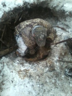 bobcat 11 [640x480].jpg