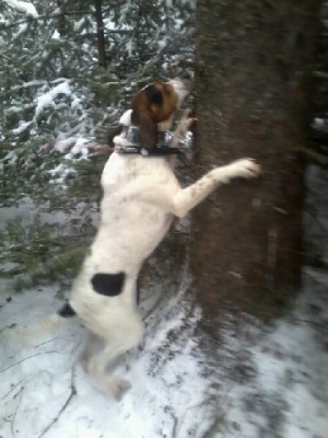 Picture0128132226_1 [640x480].jpg