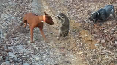 Snapshot 2 (7-30-2012 10-37 PM).png