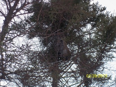 106_0711 [640x480].JPG