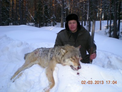 Волк я 1.jpg