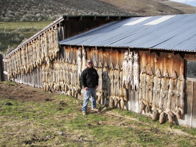 Corey Hides 010 (Copy).JPG