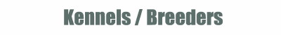 Big Game Houndsmen Kennels & Breeders