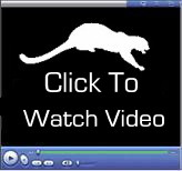 [Click to Watch]