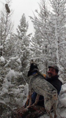 DSC00852.jpg (85.71 KiB) Viewed 6041 times The Blue Bomber with the 10th anniversary cat.